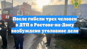 После гибели трех человек в ДТП в Ростове-на-Дону возбуждено уголовное дело