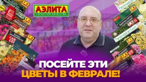 Эти ЦВЕТЫ посейте в ФЕВРАЛЕ!
