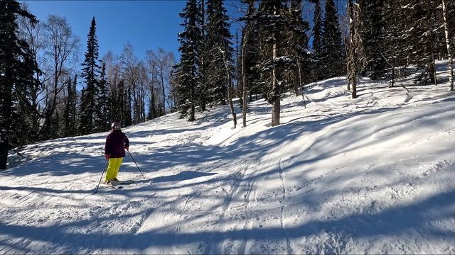 Шерегеш 2026 Восток по лесу