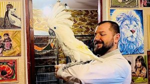 Напоить лекарствами БОЛЬШИХ ПОПУГАЕВ не так-то просто!