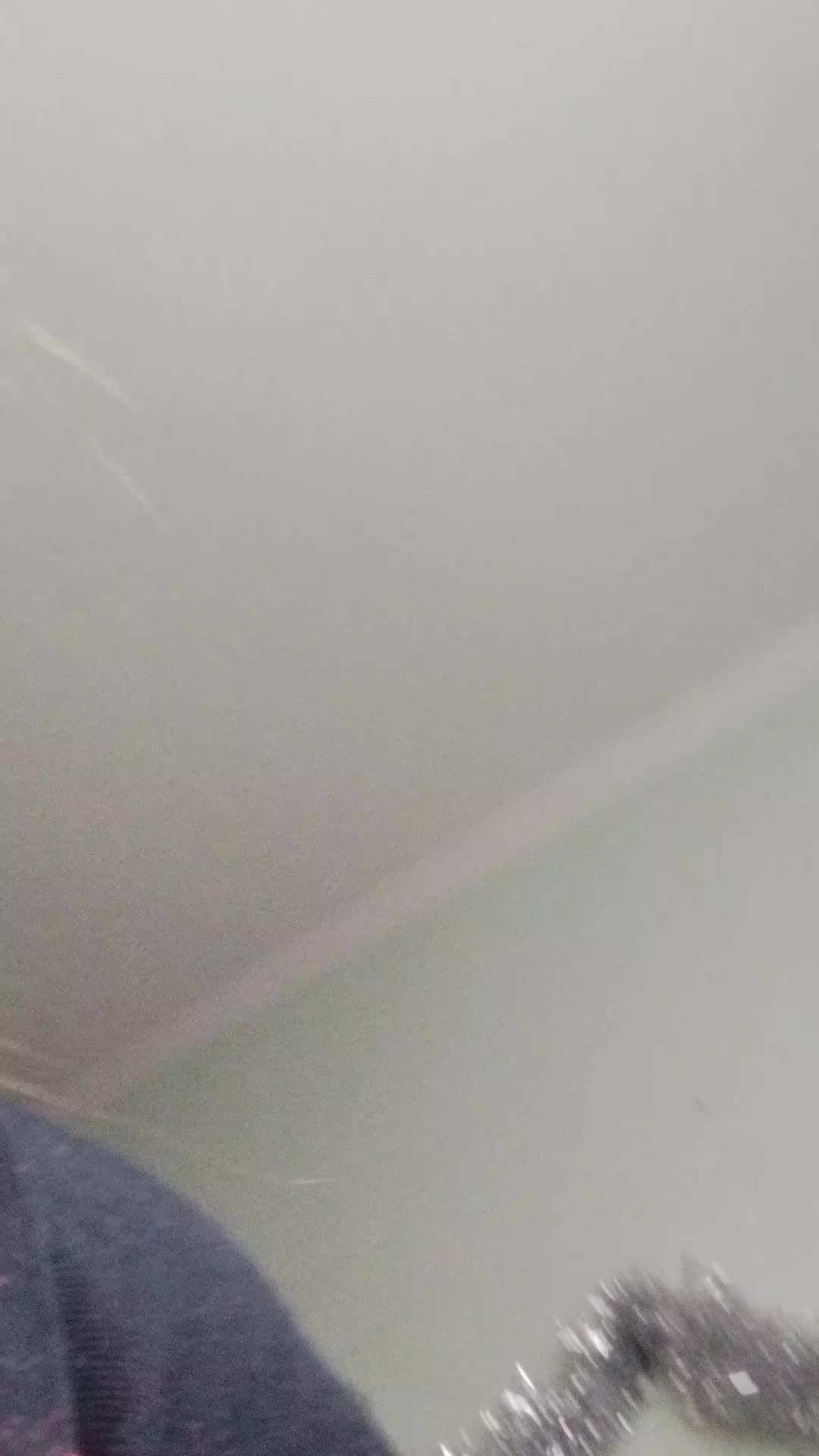 устрою свою халабуду