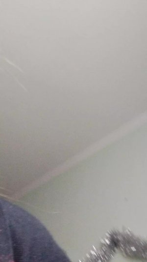 устрою свою халабуду