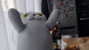 кот батон и лекарства.