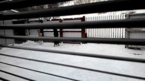 Загнали кошку на столб