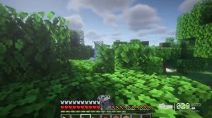 БИТВА НА ПУШКАХ