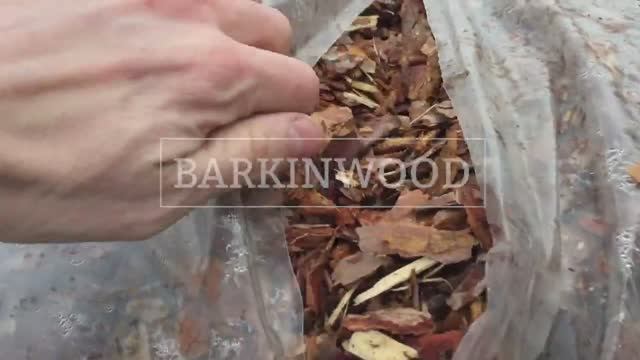 Кора сосны (фракция 2-3 см)