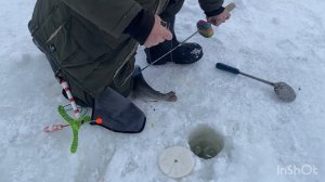 21.02 - ловим форель