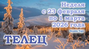 ТЕЛЕЦ | ТАРО прогноз на неделю с 23 февраля по 1 марта 2026 года