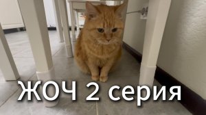 Жизнь одного человека 2 серия