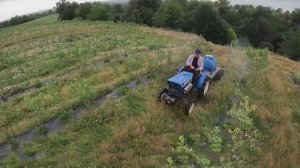 Российские ученые помогут Абхазии восстановить сады и ореховые рощи