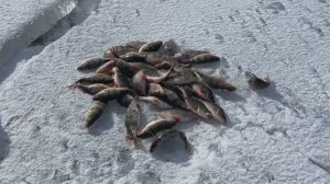 Битва с горбачами