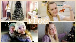 🎄 УБИРАЮ ЁЛКУ | ПРОГУЛКА С ДРУЗЬЯМИ