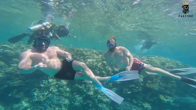 Xanadu (Яхта Marina Scuba)