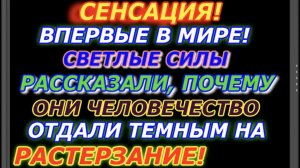 Сенсация! Светлые силы рассказали  воинам, почему Человечество они отдали темным  на растерзание