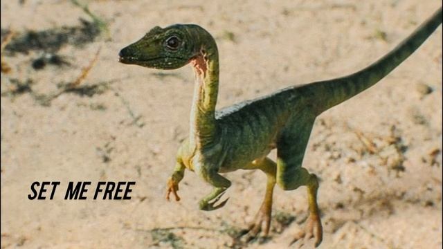 Velvet Revolver - Set Me Free