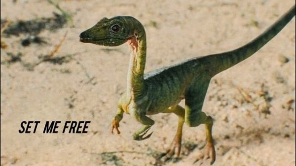 Velvet Revolver - Set Me Free