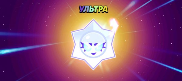 𝖇𝖗𝖆𝖜𝖑 𝕾𝖙𝖆𝖗𝖘