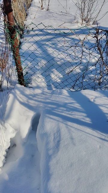 Февраль, 2026, ч.4