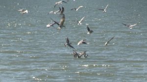 Конец февраля в Сочи, солнечный день после шторма