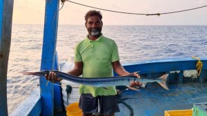 Приготовление муррела, пойманного живым в манду, ловля трики