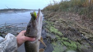 ЛОВЛЯ ЩУКИ НА СПИННИНГ НА ВОБЛЕРЫ И ПОППЕР