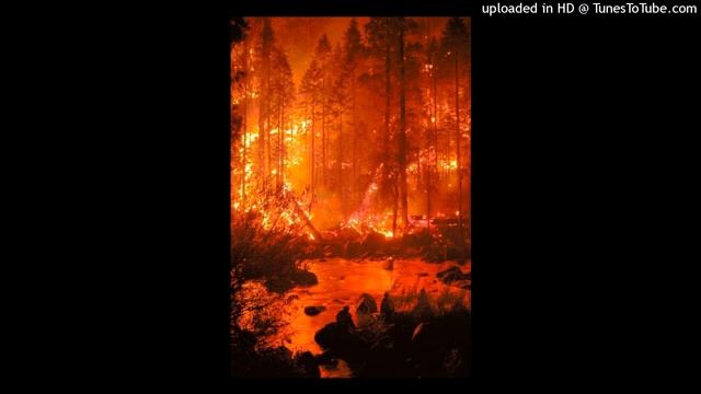 free boom bap x dark ambient type beat - blossoming tree prod by jiro [get.gt] смотреть онлайн