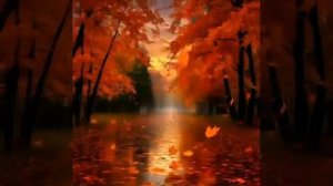 Осень за окном