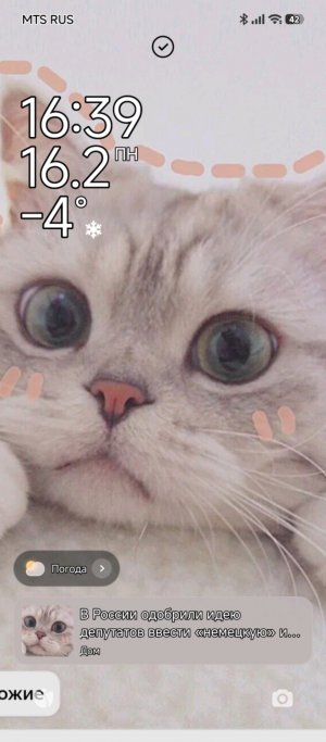 здравствуйте