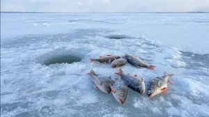 Рыбалка в Карелии. Нарвались на окуня. День второй