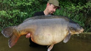 Ловля крупных карпов в Европе. 2015 г. часть 3