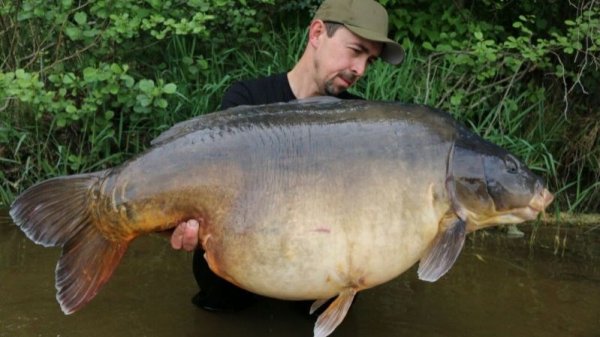 Ловля крупных карпов в Европе. 2015 г. часть 3