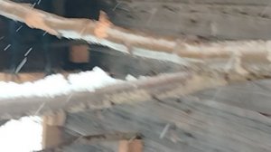 Ворон Гриша 15 ноября, с праздником