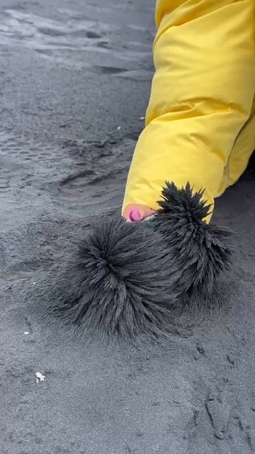 Как магнитится вулканический песок смотреть онлайн