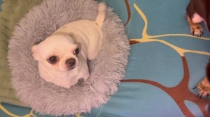 Доброго всем вечера и самой спокойной ночи.