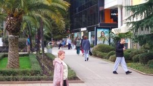 Сочи, февраль 2026