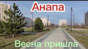 Первые подснежники.