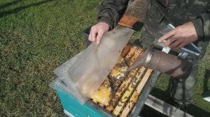 Продолжаем стимуляцию