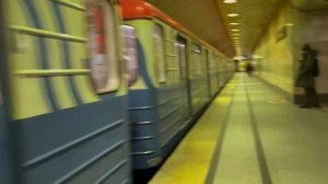 Читаем с Макаром, попугаи