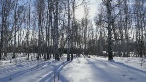 Февраль, Шопен, снег