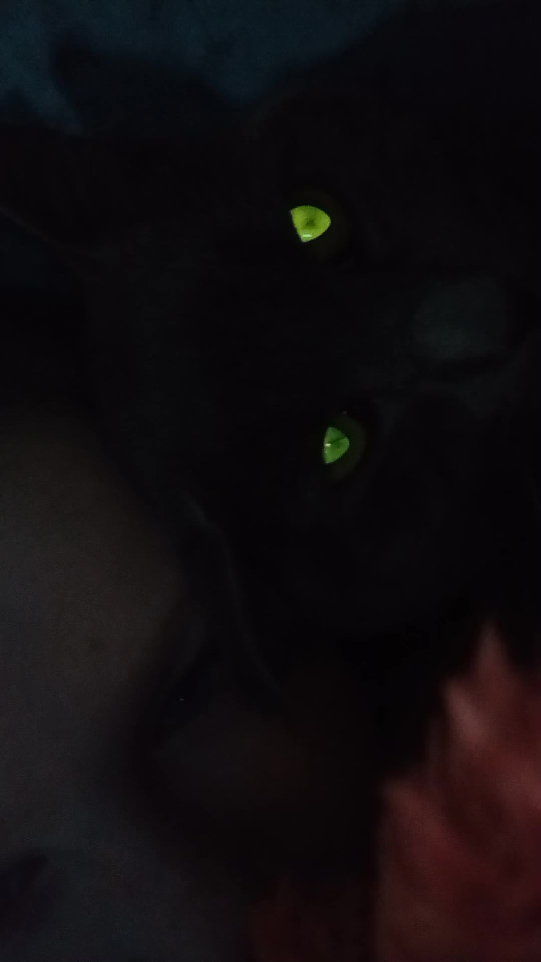 Про