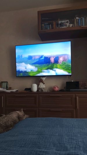 давайте добьёмся в RUTUBE 300 подписчиков