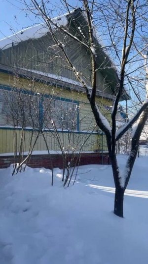 Деревня . #дом #деревенский #зима