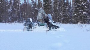 КАК ОПРЕДЕЛИТЬ КУДА ШЁЛ ЛОСЬ ПО СНЕГУ? / ЕСТЬ ТОЛЬКО ОДИН ПРОСТОЙ СПОСОБ.