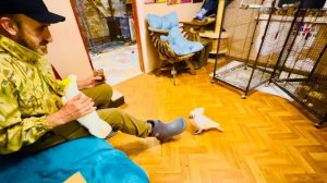 Жорик НАПАЛ на Влада, но быстро понял что Влад В САПОГАХ)))