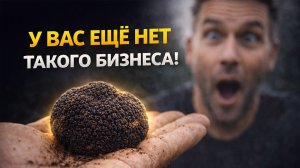 У ВАС В ГОРОДЕ ЕЩЕ НЕТ ТАКОГО БИЗНЕСА! Бизнес идеи! Бизнес 2026!