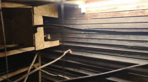 Ворон Гриша 27 декабря, с праздником