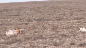 Норман, 21.02.26