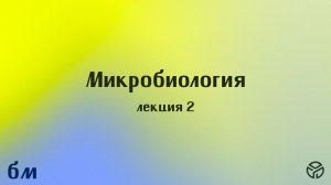 Микробиология (ПМФ). Лекция №2. Лавренова В.Н. 21.02.2026