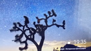 путешественники попали в игру в краба 🦀 3 серия 1 сезон