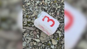 Более 100 кг пластика Федор Конюхов собрал на острове в Антарктиде